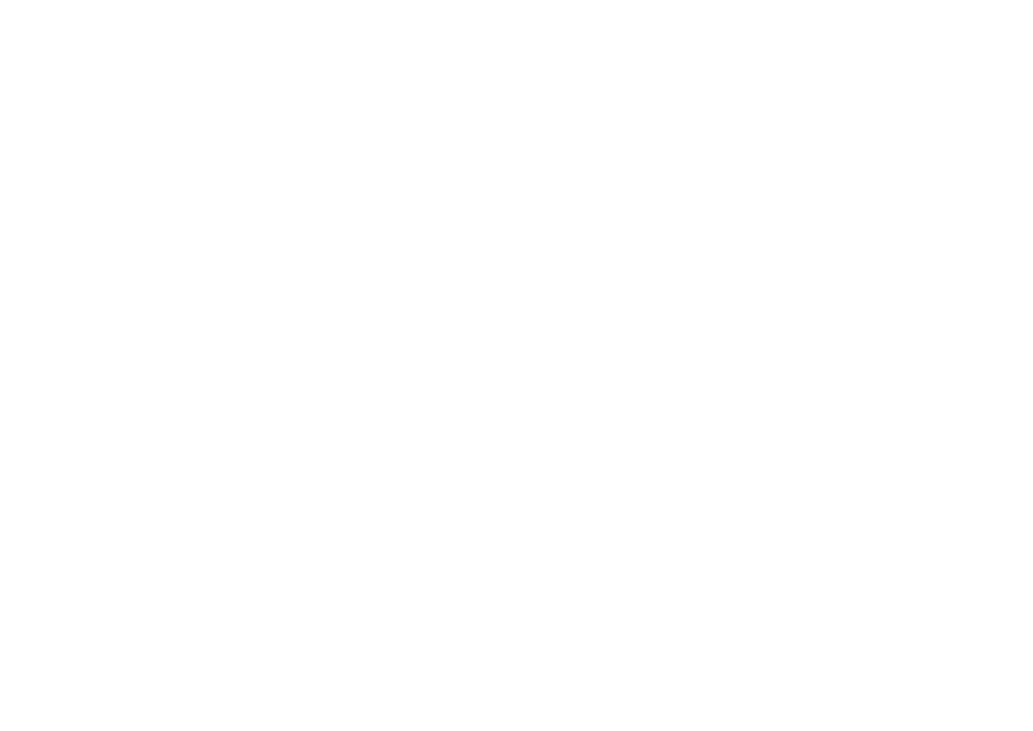 vinci